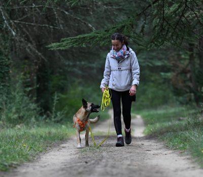 Educateur comportementaliste canin romans sur isere